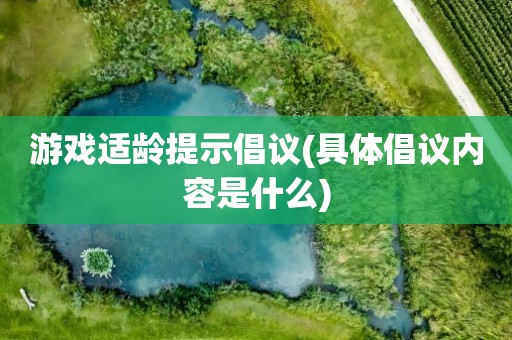 提倡游戏适龄提示(具体内容实际提倡)